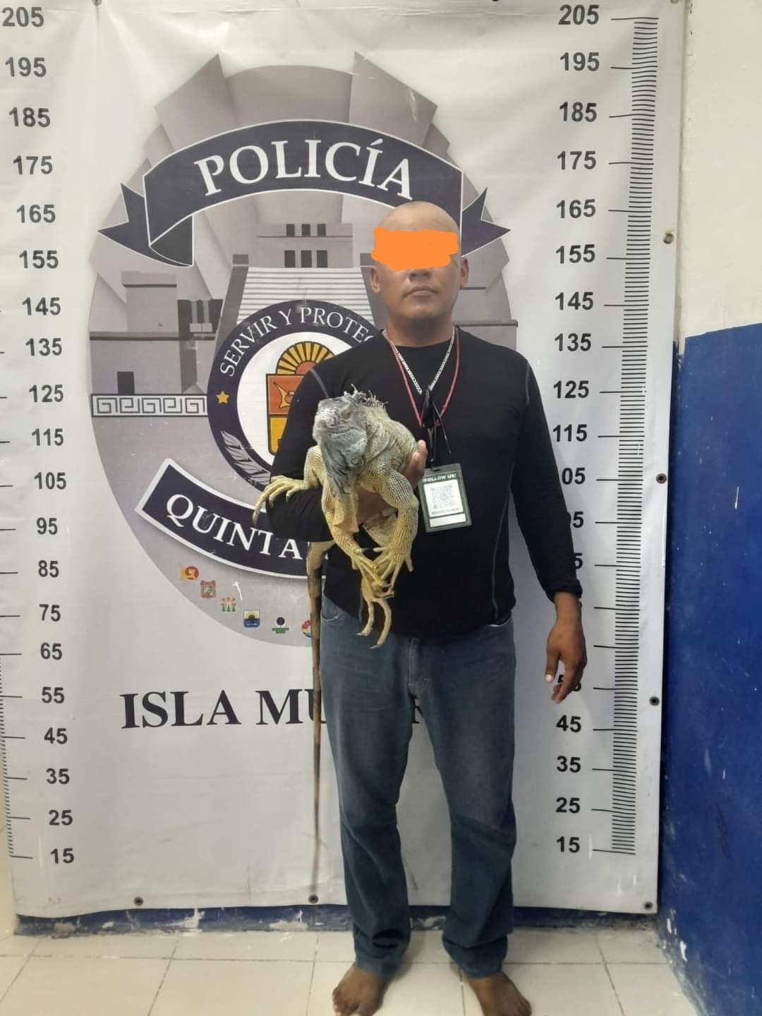 policía municipal de Isla Mujeres, aseguró a dos sujetos que lucraban con animales exóticos en la avenida Rueda Medina.