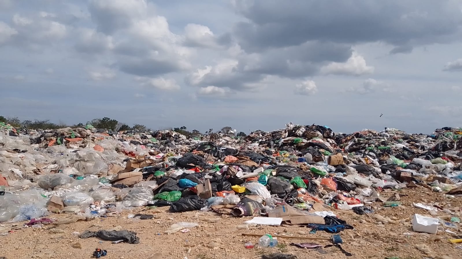 ¿Y la Agenda 2030 en Medio Ambiente?