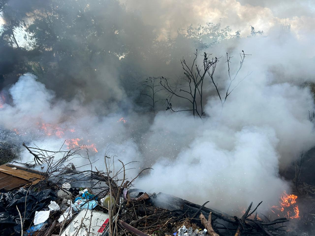 preservación del Medio Ambiente