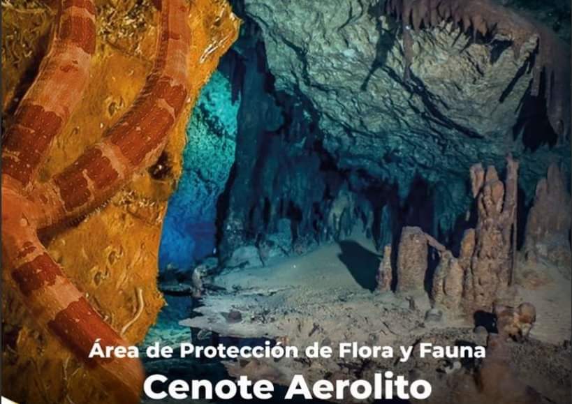 4 nuevas áreas naturales protegidas para Quintana Roo: Jacinto Pat, San Buenaventura, Playa Delfines y el Cenote Aerolito