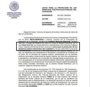 El procedimiento se desechó “por criterio del magistrado”, criterio que todavía no se conoce, debido a que la Sala Regional Xalapa no ha hecho pública la sentencia de eliminación del juicio SX-JDC-183/2024.