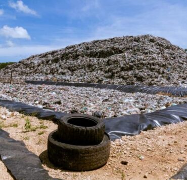 Poblanos viven de la basura en Tulum