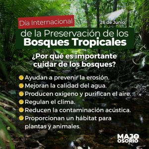 La devastación de nuestro entorno natural en aras del “desarrollo” nos ha llevado a una emergencia climática global, tal y como lo señala la Asociación Mexicana de Energía Eólica (AMDEE).