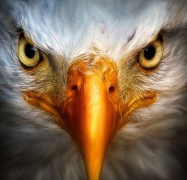 Recuperamos la esencia de nuestro verdadero ser y la razón poderosa de nuestra existencia