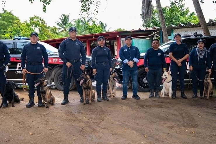 Caninos de la SSC obtienen certificación del Consejo Internacional de Adiestradores Veterinarios Criadores Especialistas y Protectores (CIAVCEP)