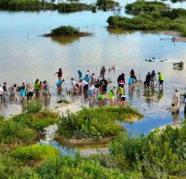 En el marco del Día Internacional de Conservación del Ecosistema de Manglares, que se conmemora cada 26 de julio, la Fundación de Parques y Museos de Cozumel (FPMC) reafirma su compromiso.