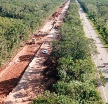 Más de 34 mil hectáreas deforestadas en la entidad en los últimos 6 años