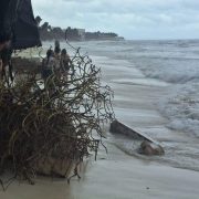 Playa del Carmen, reconocido como uno de los destinos turísticos más populares de México, se enfrenta a una grave crisis tras el paso del huracán Beryl.