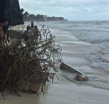 Playa del Carmen, reconocido como uno de los destinos turísticos más populares de México, se enfrenta a una grave crisis tras el paso del huracán Beryl.