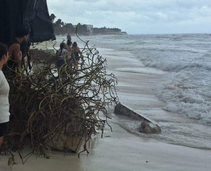 Playa del Carmen, reconocido como uno de los destinos turísticos más populares de México, se enfrenta a una grave crisis tras el paso del huracán Beryl.