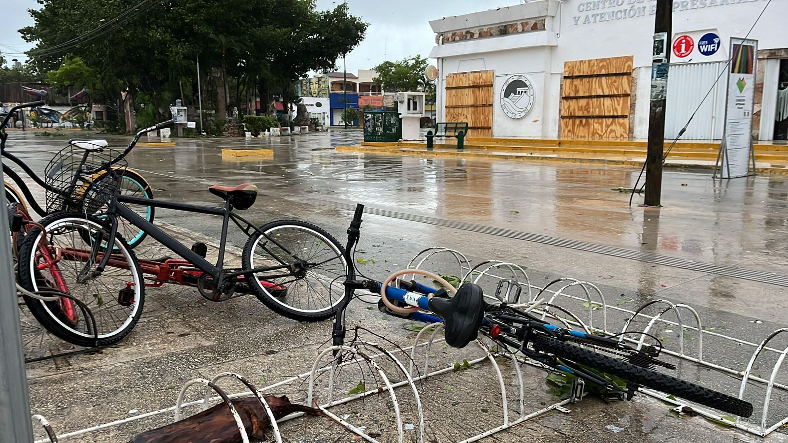 ¡Como anillo al dedo!