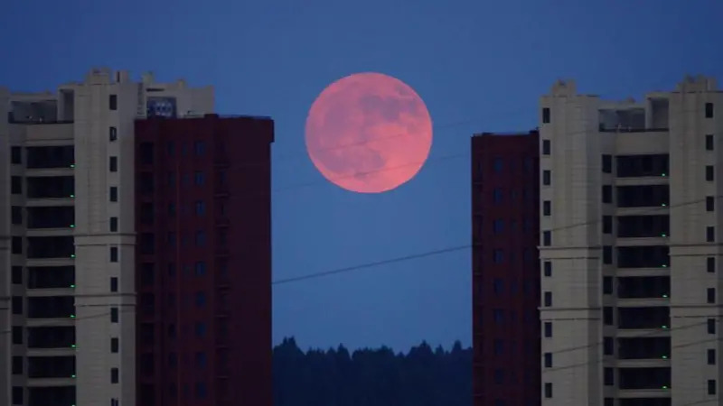 Increíbles fotos de la Superluna Azul