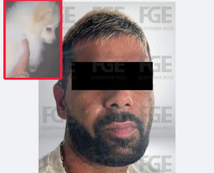 Indignante: Extranjero lanza a un perro desde un octavo piso de un edificio en Cancún