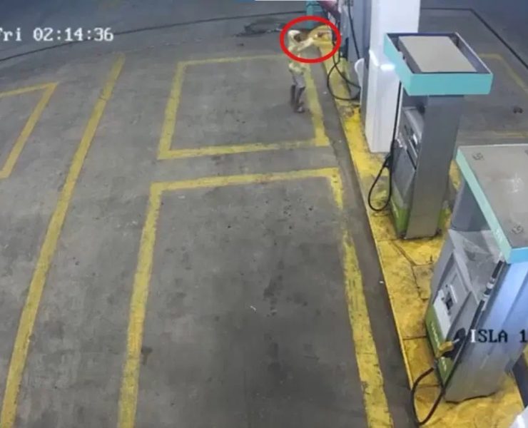 ¡Increíble! Niño de 9 años asalta una gasolinera a mano armada
