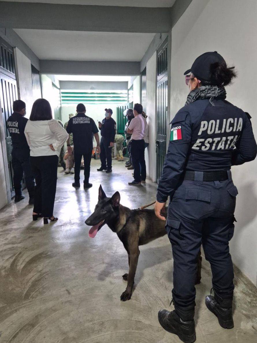 Objetos incautados durante el operativo