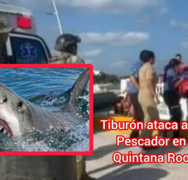 ¡Terror en el mar! Tiburón ataca a pescador en Quintana Roo