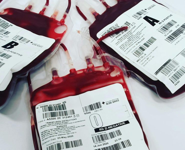 Edomex adjudica contrato millonario a empresa ligada al Cártel de la Sangre