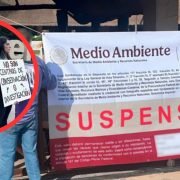 Profepa suspende delfinario del Hotel Barceló