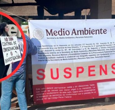 Profepa suspende delfinario del Hotel Barceló