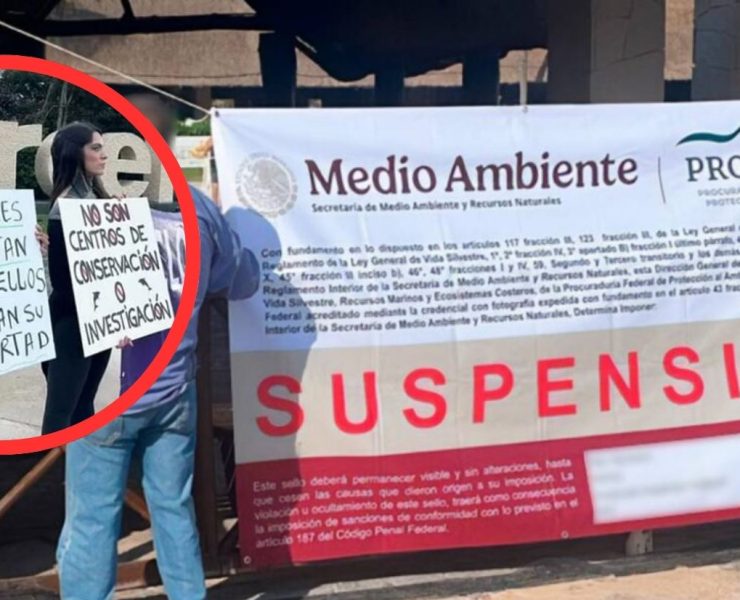 Profepa suspende delfinario del Hotel Barceló