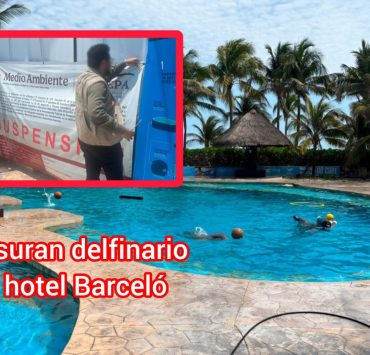 ¿Maltrato animal? Profepa clausura definitivamente el delfinario del Hotel Barceló