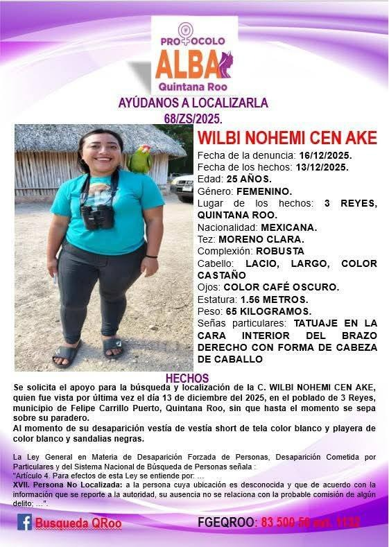 Perfiles diversos y búsquedas complejas