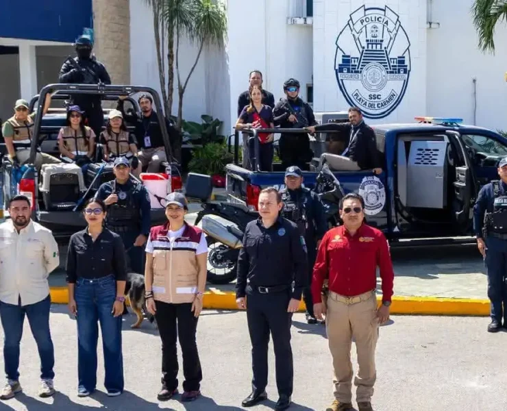 ¡Arranca Brigada de Protección Animal en Playa del Carmen!
