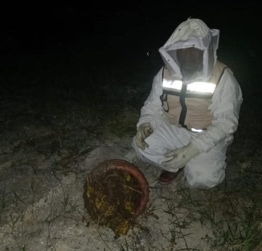 Ataque de abejas en La Unión deja animales muertos