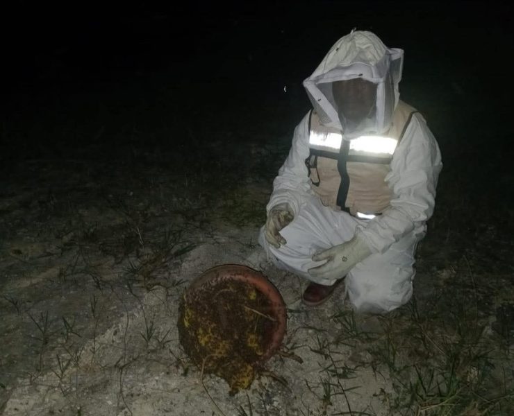 Ataque de abejas en La Unión deja animales muertos