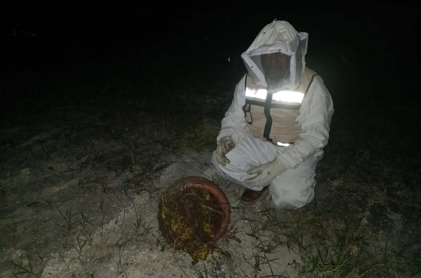 Ataque de abejas en La Unión deja animales muertos