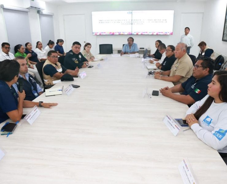 ¡Protección Total! Gobierno de Isla Mujeres refuerza protección de tortugas marinas