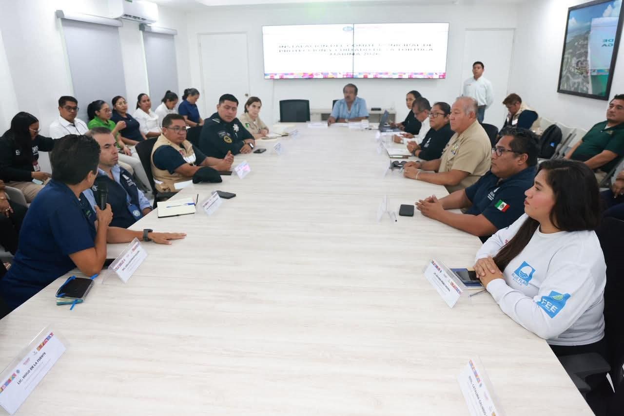 ¡Protección Total! Gobierno de Isla Mujeres refuerza protección de tortugas marinas