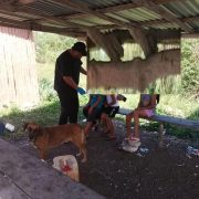 Menores intoxicados tras ingerir veneno para ratas activan emergencia