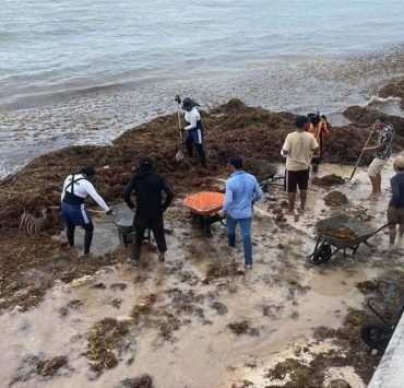 Sargazo controlado en Quintana Roo durante Semana Santa histórica