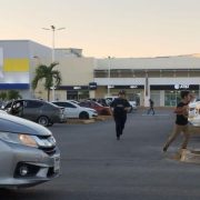 ¡Abejas Furiosas! Enjambre ataca en acceso principal de plaza en Chetumal