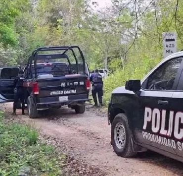 𝐌𝐚𝐝𝐫𝐞𝐬 𝐛𝐮𝐬𝐜𝐚𝐝𝐨𝐫𝐚𝐬 𝐥𝐨𝐜𝐚𝐥𝐢𝐳𝐚ro𝐧 𝐟𝐨𝐬𝐚 𝐜𝐥𝐚𝐧𝐝𝐞𝐬𝐭𝐢𝐧𝐚 en zona selvática de Mahahual