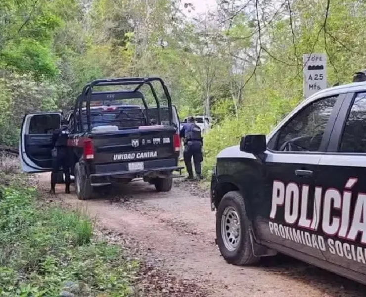 𝐌𝐚𝐝𝐫𝐞𝐬 𝐛𝐮𝐬𝐜𝐚𝐝𝐨𝐫𝐚𝐬 𝐥𝐨𝐜𝐚𝐥𝐢𝐳𝐚ro𝐧 𝐟𝐨𝐬𝐚 𝐜𝐥𝐚𝐧𝐝𝐞𝐬𝐭𝐢𝐧𝐚 en zona selvática de Mahahual