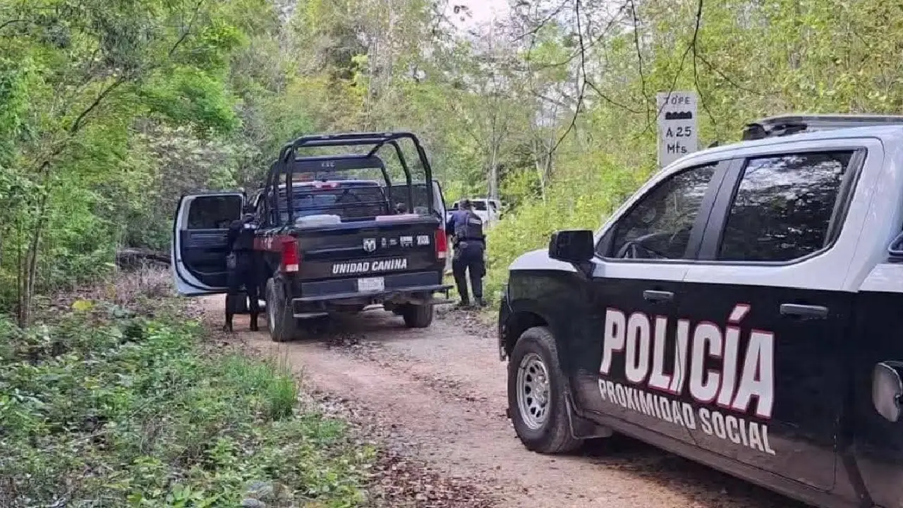 𝐌𝐚𝐝𝐫𝐞𝐬 𝐛𝐮𝐬𝐜𝐚𝐝𝐨𝐫𝐚𝐬 𝐥𝐨𝐜𝐚𝐥𝐢𝐳𝐚ro𝐧 𝐟𝐨𝐬𝐚 𝐜𝐥𝐚𝐧𝐝𝐞𝐬𝐭𝐢𝐧𝐚 en zona selvática de Mahahual