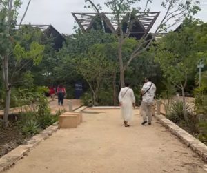 El Museo del Parque del Jaguar en Tulum se consolida como uno de los espacios culturales y turísticos más importantes del Caribe Mexicano con miles de visitantes nacionales e internacionales.