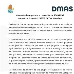 Integrantes de DMAS y colectivos ambientales mantienen la presión para negar proyecto en Mahahual y proteger la costa sur de Quintana Roo.