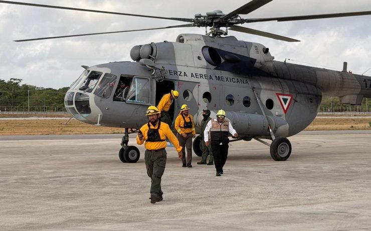 Incendio Controlado: Liquidan 95% del fuego en Santuario del Manatí