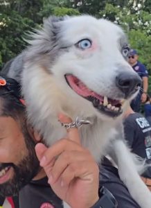 Munek, la Perrita rescatista de Cancún, participa junto a la Brigada Internacional de Rescate Cancún en la búsqueda de sobrevivientes entre los escombros en Venezuela.