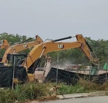 Selva Devastada: El desarrollo inmobiliario avanza sobre la riqueza natural