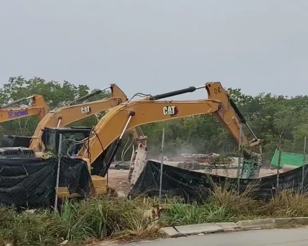 Selva Devastada: El desarrollo inmobiliario avanza sobre la riqueza natural