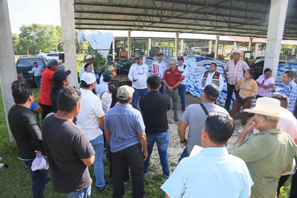 Entrega Gobierno de Quintana Roo 32.2 toneladas de alimento para tilapia fortalece la acuicultura en Quintana Roo