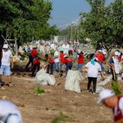Mara Lezama invita en la Jornada Nacional de Reforestación