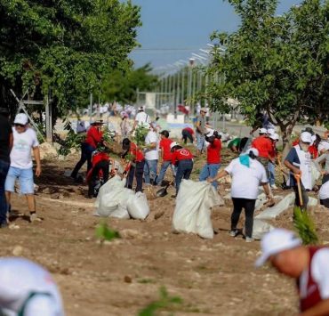 Mara Lezama invita en la Jornada Nacional de Reforestación
