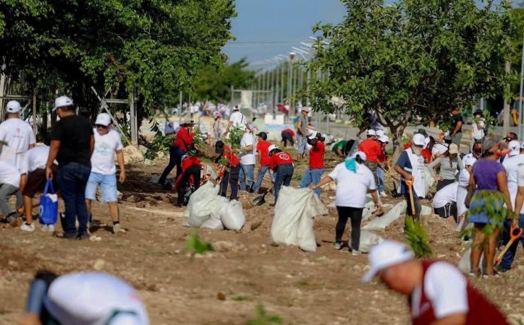 Mara Lezama invita en la Jornada Nacional de Reforestación