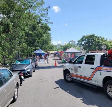 ¡Alerta en Playa del Carmen! Abejas Pican a Dos Personas en Tianguis