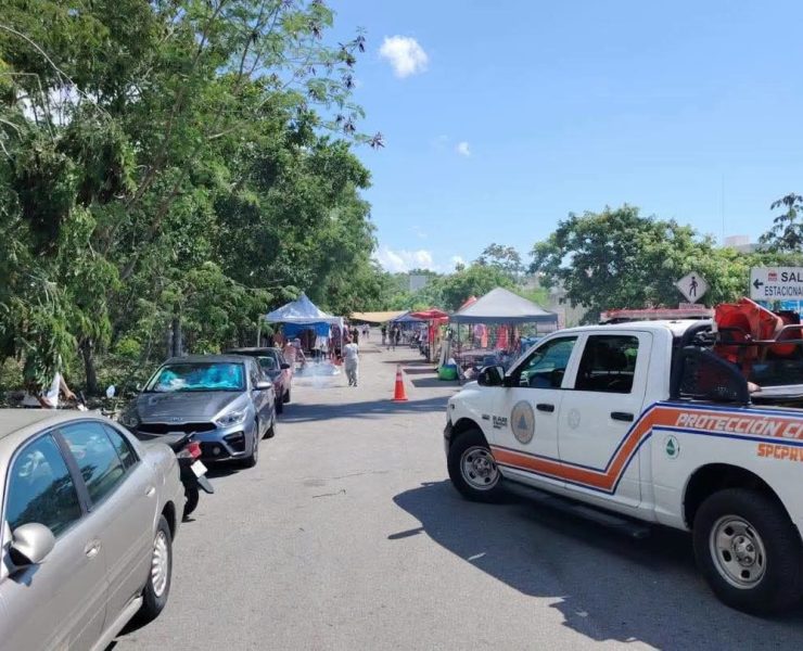 ¡Alerta en Playa del Carmen! Abejas Pican a Dos Personas en Tianguis
